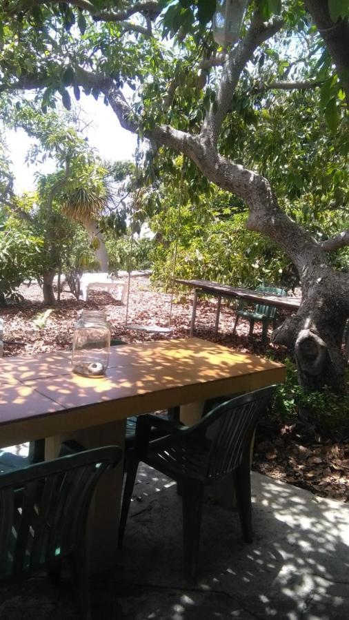 Casa Los Mangos Vila Tijarafe Exterior foto